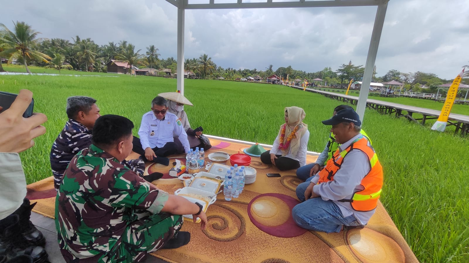 Menikmati pemandangan sawah di teluk pandan